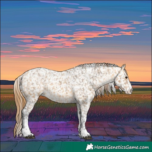 Horse Color:Powder White Buckskin Dun Snowflake Varnish and Powder White Buckskin Dun Snowflake Varnish