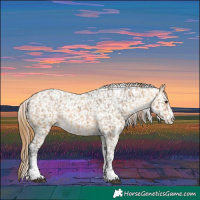 Horse Color:Powder White Buckskin Dun Snowflake Varnish  and Powder White Buckskin Dun Snowflake Varnish 