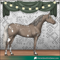 Horse Color:White Spotted Silver Grullo Rabicano