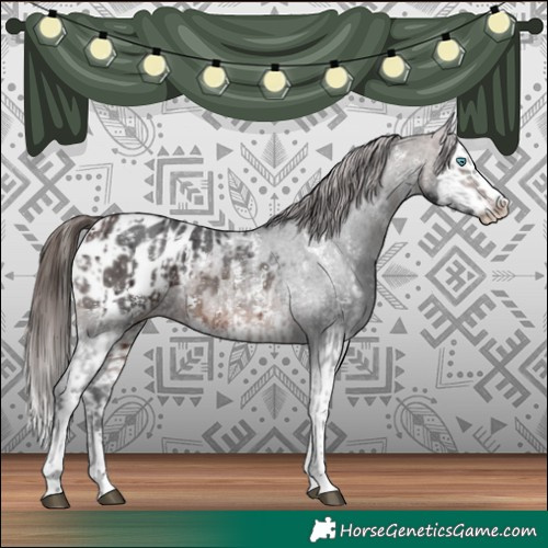 Horse Color:Brown Sabino Splash Blanket and Brown Sabino Splash Blanket