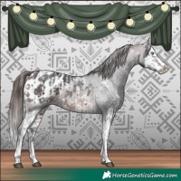 Horse Color:Brown Sabino Splash Appaloosa  and Brown Sabino Splash Appaloosa 