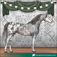 Horse Color:Brown Sabino Splash Appaloosa and Brown Sabino Splash Appaloosa