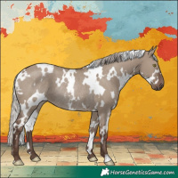 Horse Color:White Spotted Silver Grullo Rabicano 