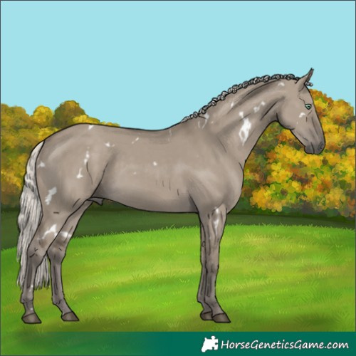 Horse Color:White Spotted Silver Smoky Grullo Rabicano 