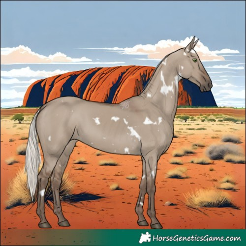 Horse Color:White Spotted Silver Grullo Rabicano 