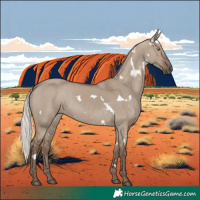 Horse Color:White Spotted Silver Grullo Rabicano 