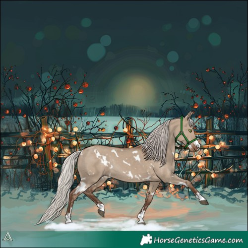 Horse Color:White Spotted Silver Grullo Rabicano 
