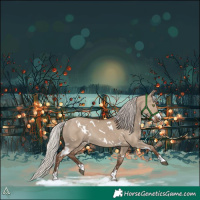 Horse Color:White Spotted Silver Grullo Rabicano 