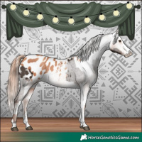 Horse Color:Liver Chestnut Sabino Splash Appaloosa  and Gold Champagne Sabino Splash Appaloosa 