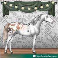 Horse Color:Liver Chestnut Sabino Splash Appaloosa  and Gold Champagne Sabino Splash Appaloosa 