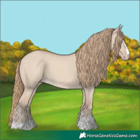 Horse Color:Smoky Creme Dun 