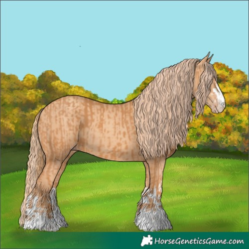 Horse Color:Chestnut  and Gold Champagne 