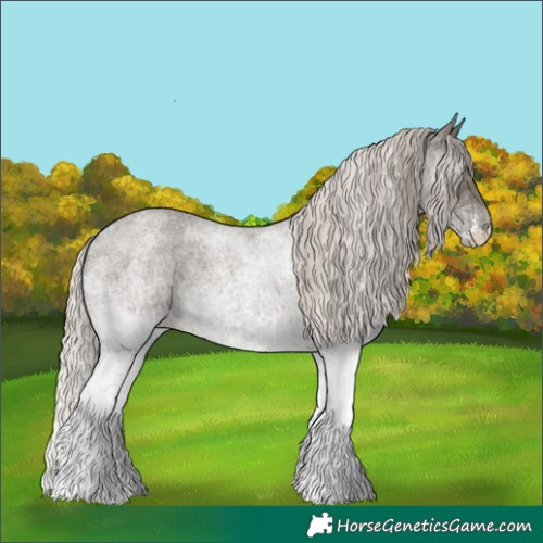 Horse Color:White Spotted Silver Blue Roan 