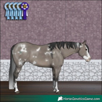 Horse Color:White Spotted Grullo Splash 