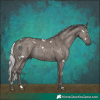 Horse Color:Platinum White Spotted Silver Smoky Grullo Rabicano Brindle