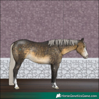 Horse Color:Silver Buckskin Sabino Rabicano 