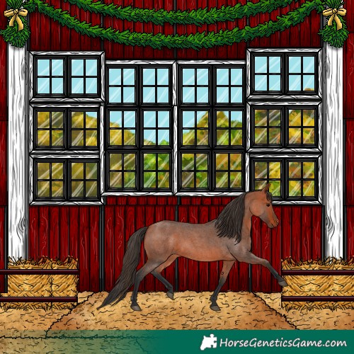 Horse Color:Bay Roan 