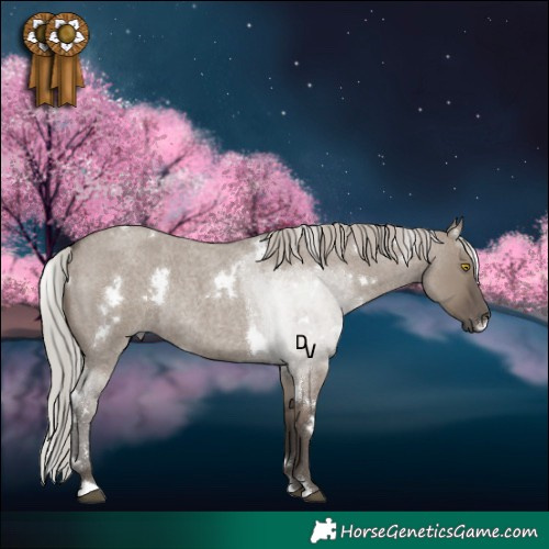 Horse Color:White Spotted Silver Grullo Roan Rabicano 