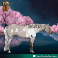 Horse Color:White Spotted Silver Grullo Roan Rabicano
