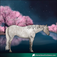 Horse Color:White Spotted Silver Grullo Roan Rabicano 