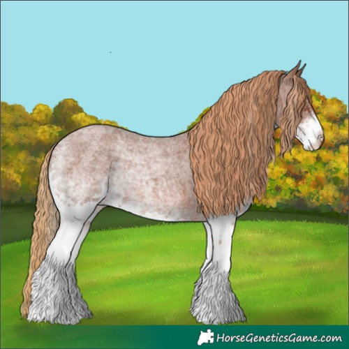 Horse Color:White Spotted Red Roan
