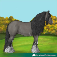 Horse Color:Grullo Sabino Rabicano 