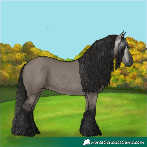 Horse Color:Gray Grullo 
