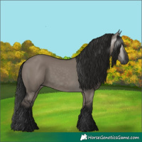 Horse Color:Gray Grullo 