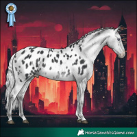 Horse Color:Silver Brown Chinchilla Tobiano Appaloosa 