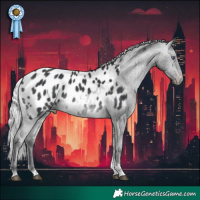 Horse Color:Silver Brown Chinchilla Tobiano Appaloosa