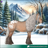 Horse Color:Silver Brown Dun Blanket 