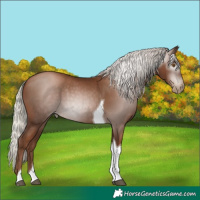 Horse Color:Gray Silver Black Pearl Tobiano 