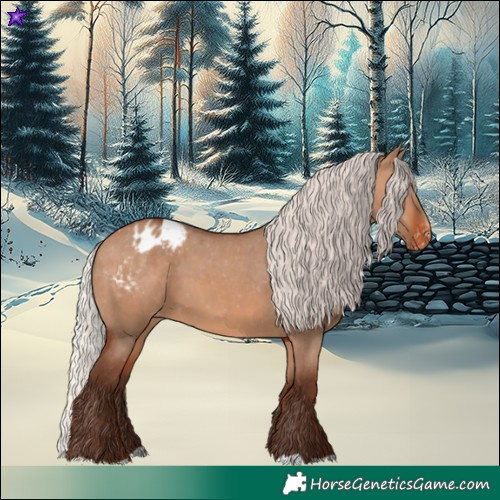 Horse Color:Silver Brown Dun Appaloosa 