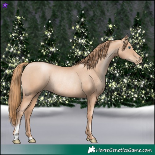 Horse Color:Gold Champagne Pearl Rabicano and Gold Champagne Pearl Rabicano