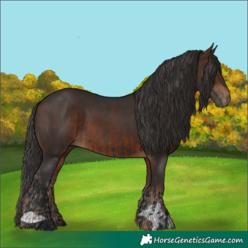 Horse Color:Liver Chestnut  and Bay 