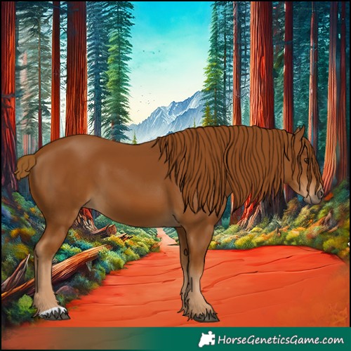 Horse Color:Gray Chestnut