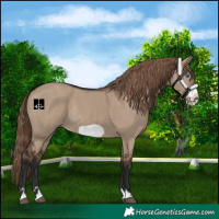 Horse Color:Liver Red Dun Frame Rabicano