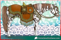 Horse Color:Liver Chestnut Tobiano Appaloosa 
