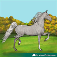 Horse Color:Silver Smoky Black Tobiano Varnish 