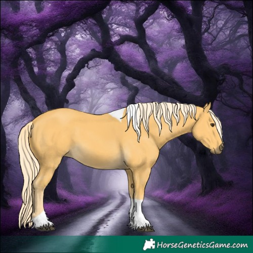 Horse Color:Palomino Tobiano Rabicano 