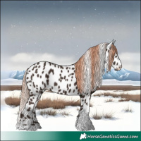 Horse Color:Liver Chestnut Tobiano Leopard 