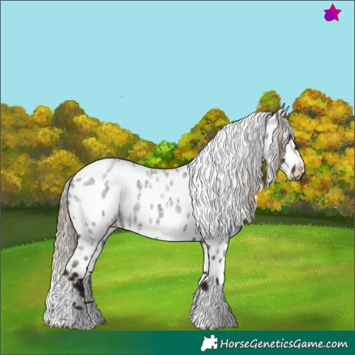 Horse Color:Liver Red Roan Tobiano Leopard