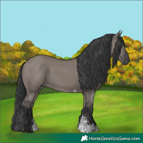 Horse Color:Grullo Sabino Rabicano