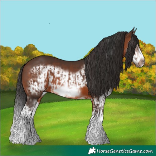 Horse Color:Brown Splash Frame and Brown Splash Frame