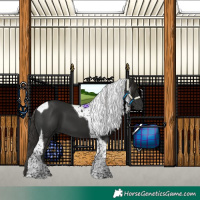 Horse Color:Liver Chestnut Tobiano 
