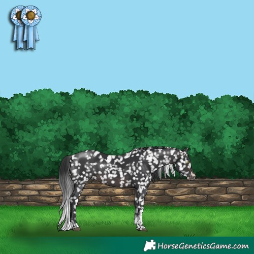 Horse Color:Platinum White Spotted Brown Tobiano Snowflake Varnish