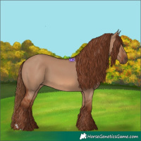Horse Color:Red Dun 