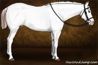 Horse Color:Grullo Splash Tobiano Varnish