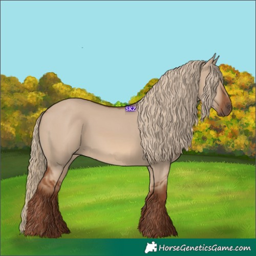 Horse Color:Red Dun