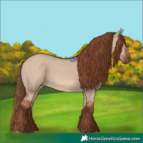 Horse Color:Red Dun